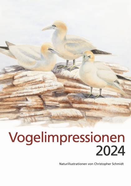 Vogelimpressionen 2024 ERSCHEINT ENDE SEPTEMBER 2023