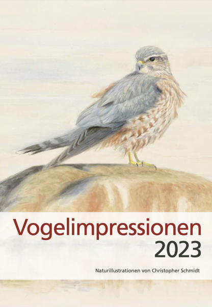 Vogelimpressionen 2023